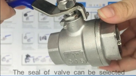 Industrial/Sanitary Full Bore Threaded NPT/BSPT/Bsp Stainless Steel CF8/CF8m DN15 Floating Check Valve/Strainer/Globe Valve/Ball Valve